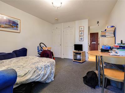 Picture 7